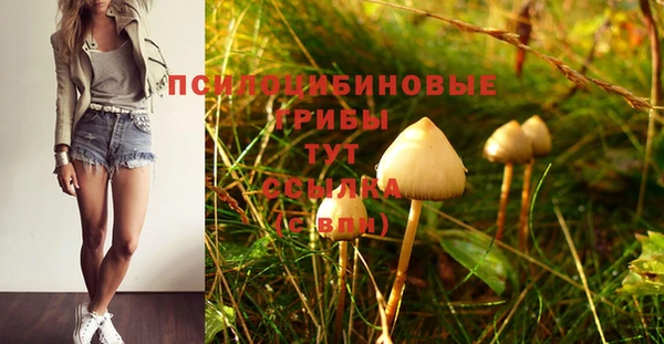 кокаин Алексеевка